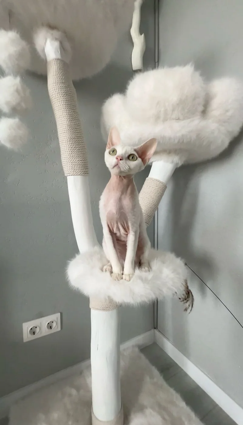 Кошка на когтеточке Alien Cat — фото 52